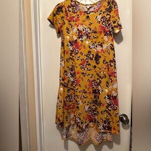 Lularoe Disney Floral Swing Dress.